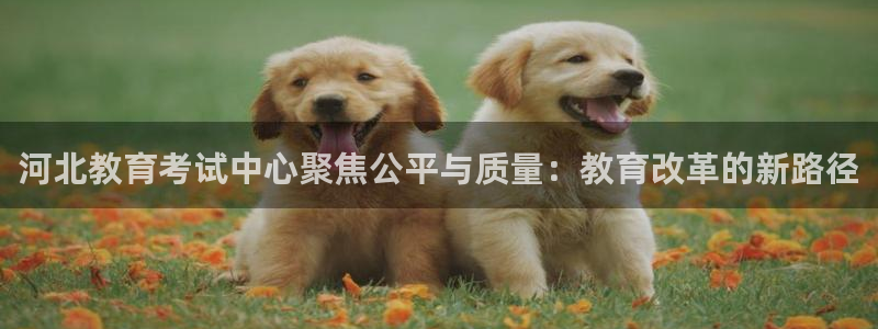 新宝5登录入口网址