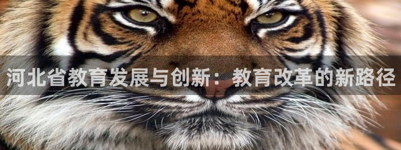 新宝股东王听2 5 5