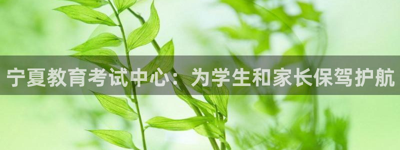 新宝5测速在线