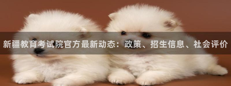 新宝5手机平台登陆