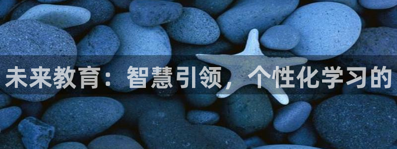 新宝5官网app