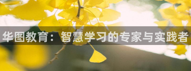 新宝娱乐5入口