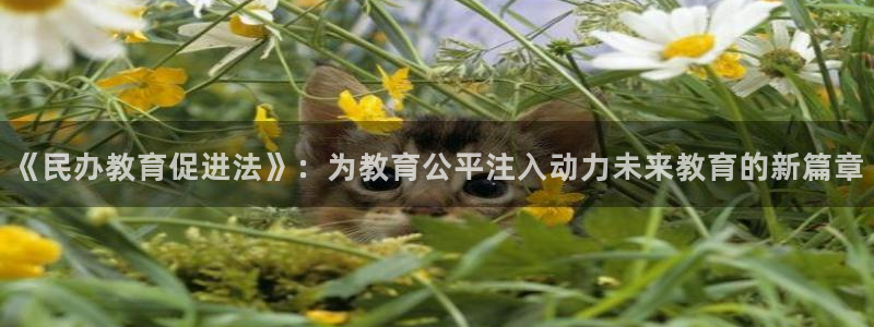 新宝5娱乐网址
