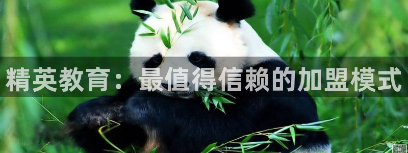 新宝奇迹GG5