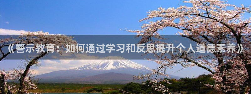 新宝5为啥开