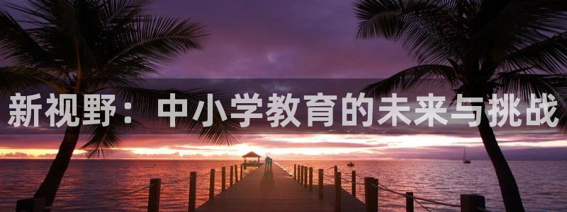 新宝j2O5O5O