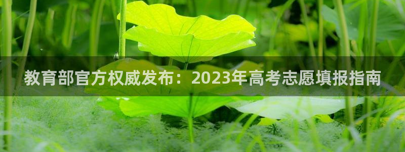 新宝股东王听2 5 5