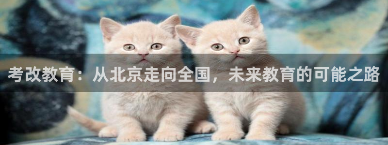 新宝5苹果手机下载