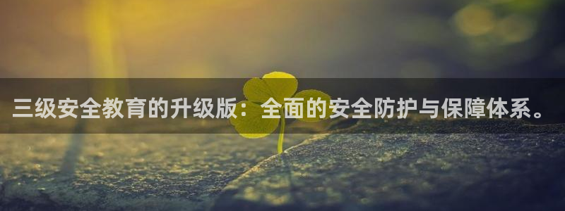 新宝5网