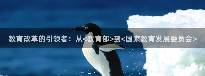 新宝5下载软件