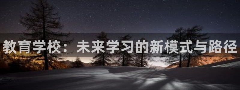 新宝娱乐5入口