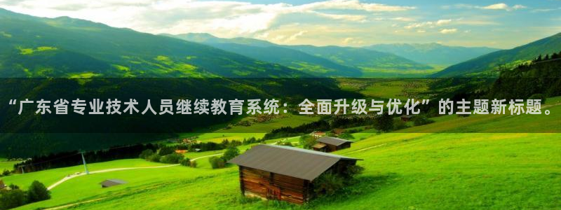 新宝堂新会陈皮5年