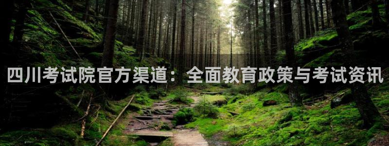 新宝5公司