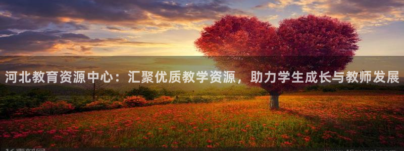 新宝5的网址