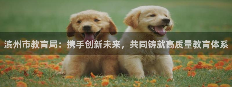 新宝5下载 迅雷下载