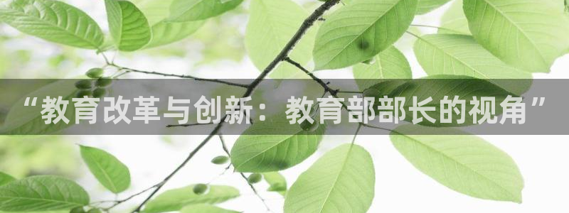新宝5官方下载地址
