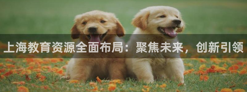 新宝5官网霸