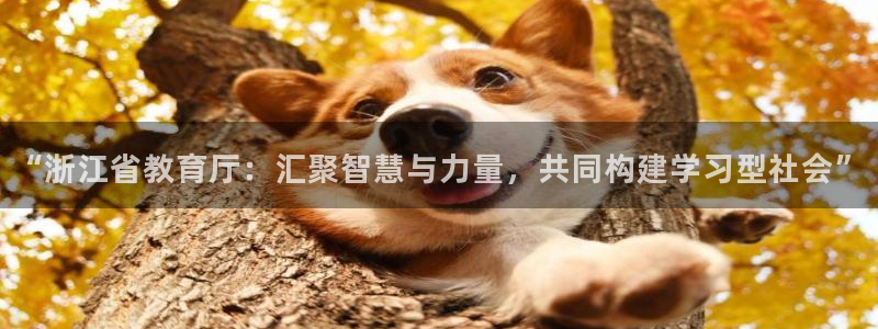 新宝股东瞧听2 5 5