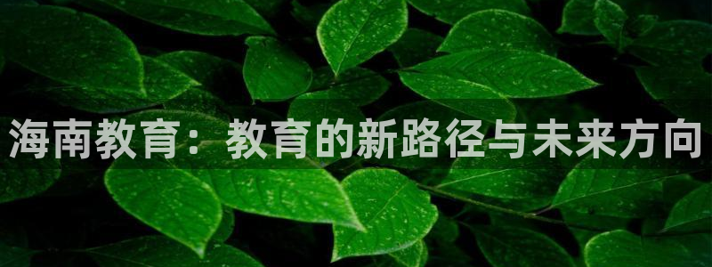 菲律宾新宝5老板