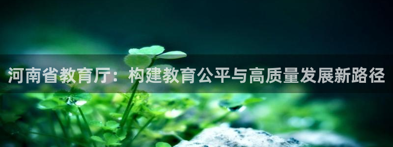 新宝5app