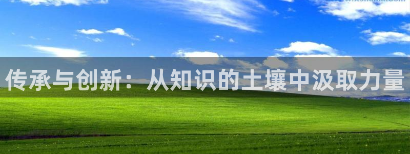 菲律宾新宝5老板