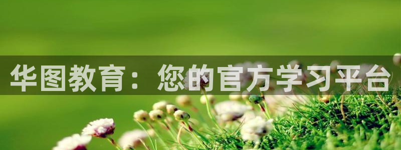 新宝5娱乐多