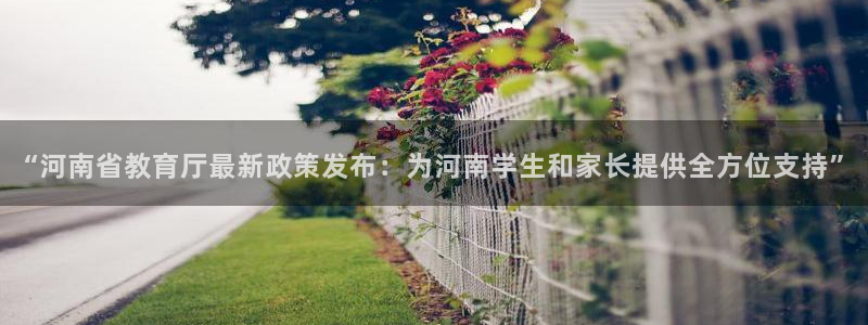 新宝5是谁的