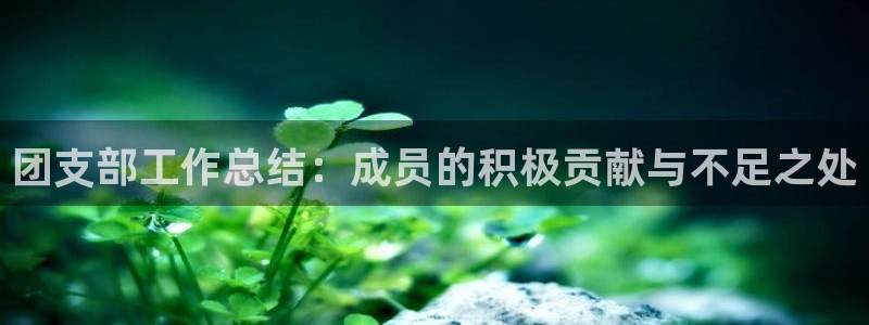 新宝5现在还能玩吗