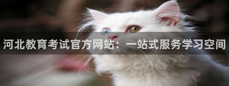 新宝5彩票娱乐平台