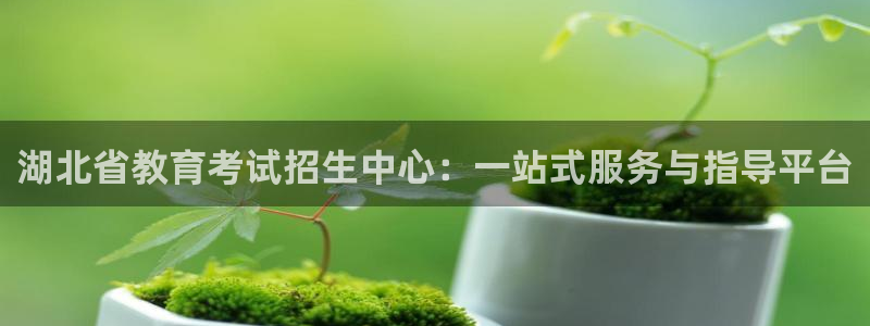 新宝5现在还能玩吗