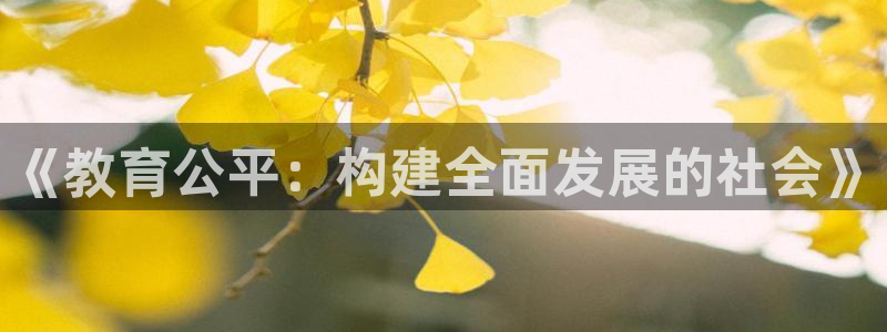 新宝5什么时候上市