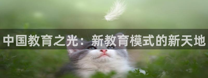 新宝5口67五壹叁八