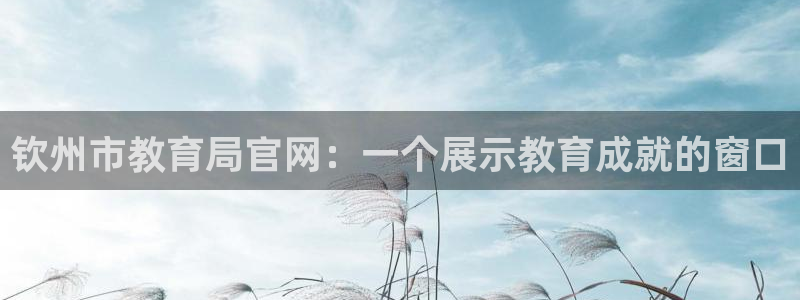 新宝堂新会陈皮5年