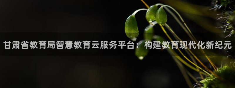 新宝5官网霸