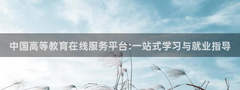 新宝奇迹GG5