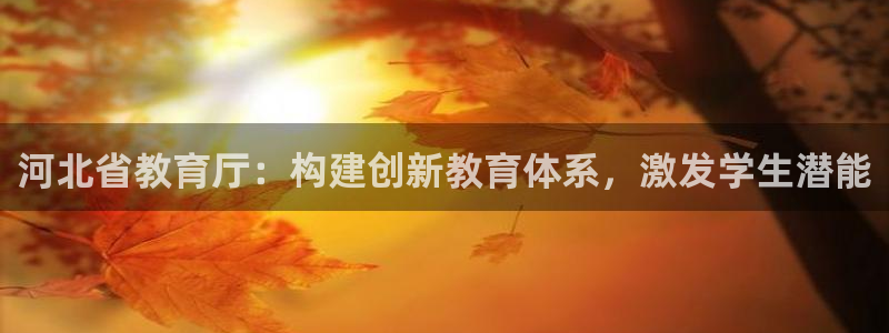 新宝5手机版
