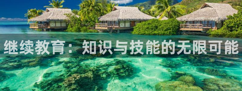 新宝5是什么样子的