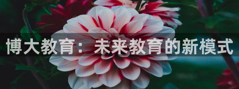 新宝5新宝6顺达