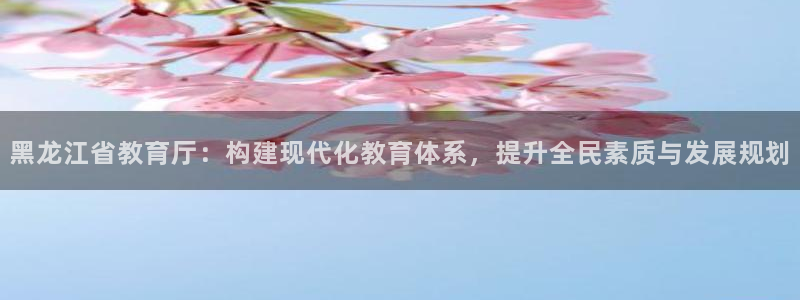 新宝5公司