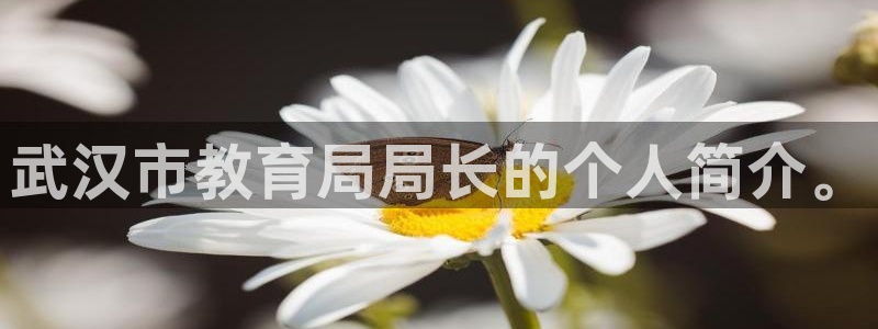 新宝5天